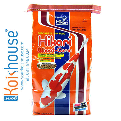 Hikari - Hikari Wheat-Germ - medium pellet 500g YKH